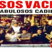 Vasos vacios