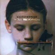 The lyrics WAS DU... of MARIUS MÜLLER-WESTERNHAGEN is also present in the album In den wahnsinn (2002)