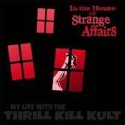 The lyrics CHEMICAL COP-OUT of MY LIFE WITH THE THRILL KILL KULT is also present in the album The kult kollection