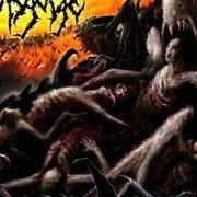 The lyrics ASPHYXIATION OF THEE OPPRESSED of DISGORGE (USA) is also present in the album Parallels of infinite torture (2005)