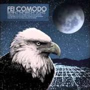 Behind the bright lights