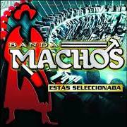 The lyrics COMO TE ATREVES of BANDA MACHOS is also present in the album Estas seleccionada (2009)