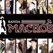 The lyrics EL REY of BANDA MACHOS is also present in the album Si volviera a nacer (2013)