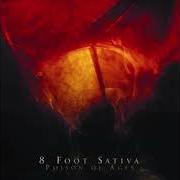 The lyrics THE GREAT WESTERN CLIFF-HANGER of 8 FOOT SATIVA is also present in the album Poison of ages (2007)