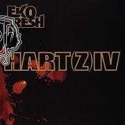 The lyrics RUHE VOR DEM STURM of EKO FRESH is also present in the album Hart(z) iv (2006)