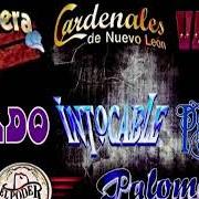 The lyrics ME LLEGA, ME LLEGA of EL PODER DEL NORTE is also present in the album Cumbias con poder (2003)