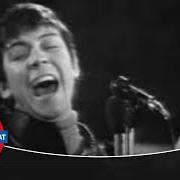 Roadrunners! Roadrunners!