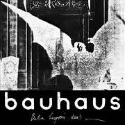 The lyrics SOME FACES of BAUHAUS is also present in the album The bela session (2018)