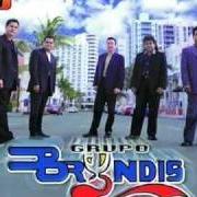 The lyrics FELICIDAD of GRUPO BRYNDIS is also present in the album En el idioma del amor (2001)