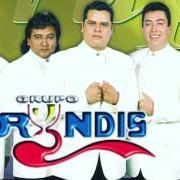 The lyrics MI CHICA IDEAL of GRUPO BRYNDIS is also present in the album Solo pienso en ti (2007)