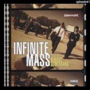 The lyrics REAZIDE of INFINITE MASS is also present in the album Alwayz somethang (1997)