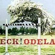 The lyrics THE NEW POLLUTION of BECK is also present in the album Odelay (1996)