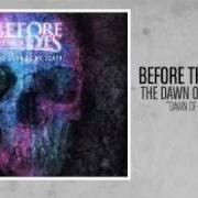 The lyrics LIFE WAS ALL A DREAM of BEFORE THEIR EYES is also present in the album The dawn of my death (2008)