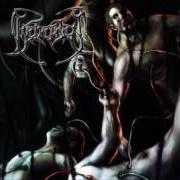 The lyrics INHERITED PLAGUE of BEHEADED is also present in the album Recounts of disembodiment (2002)