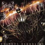 The lyrics ILL REMAINS of BEHEADED is also present in the album Ominous bloodline (2005)