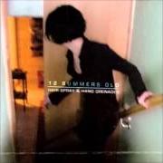 The lyrics PERFECT LOVE SONG of 12 SUMMERS OLD is also present in the album Hair spray & hand grenades (2006)