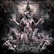 The lyrics REX TREMENDAE MAJESTATIS of BELPHEGOR is also present in the album Conjuring the dead (2014)
