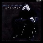 The lyrics HOPE HAS A WAY of SCOTT KRIPPAYNE is also present in the album Wild imagination