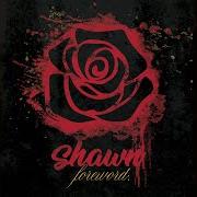 The lyrics SHAWN NA NA of SHAWN STOCKMAN is also present in the album Foreword (2020)