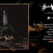 The lyrics WHEN A SHADOW IS FORCED INTO THE LIGHT of SWALLOW THE SUN is also present in the album When a shadow is forced into the light (2019)