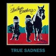 The lyrics YOU ARE MINE of THE AVETT BROTHERS is also present in the album True sadness (2016)