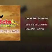 The lyrics TE AMO of BETO Y SUS CANARIOS is also present in the album Loco por tu amor (2009)