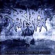 Introduction to the procession - demo Introduction to the procession - demo