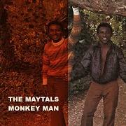 Monkey man Monkey man