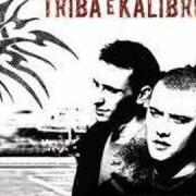 The lyrics DALLA STRADA of TRIBA E KALIBRO is also present in the album Colpisci (2007)
