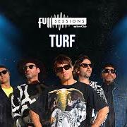 Turf
