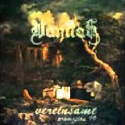 The lyrics WALZERTANZ IM FLAMMENMEER of VANITAS is also present in the album Vereinsamt (1999)