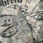 The lyrics OUTER RINGS of BIGWIG is also present in the album Reclamation (2006)