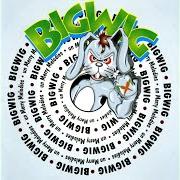 The lyrics THE GIRL IN THE GREEN JACKET of BIGWIG is also present in the album Unmerry melodies (1997)