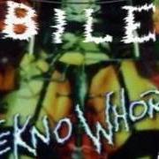 The lyrics LOWEST FORM of BILE is also present in the album Teknowhore (1996)