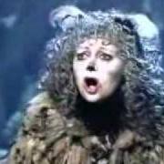 The lyrics GRIZABELLA of MUSICAL is also present in the album The cats (1981)