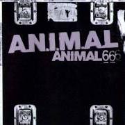 The lyrics MARCADO A FUEGO of A.N.I.M.A.L. is also present in the album Animal 6 (2001)