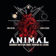 The lyrics CRIMINALES DE LA LIBERTAD of A.N.I.M.A.L. is also present in the album Una razón para seguir (2018)