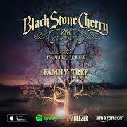 The lyrics AIN'T NOBODY of BLACK STONE CHERRY is also present in the album Family tree (2018)