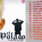 The lyrics PENSANDO EN TI of EL POLACO is also present in the album Vuelve te lo pido (2006)