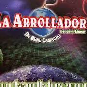 The lyrics LA VENGANZA DEL TAHUR of LA ARROLLADORA BANDA EL LIMON is also present in the album Pa adoloridos (2001)