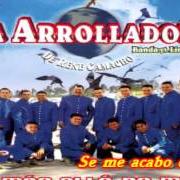 The lyrics QUE VA A SER DE MI of LA ARROLLADORA BANDA EL LIMON is also present in the album Se me acabó el amor (2003)