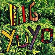 The lyrics WAITIN' of LOS PERICOS is also present in the album Big yuyo (1992)