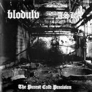 The lyrics GRIMNESS of BLODULV is also present in the album The purest cold precision (2004)