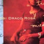 The lyrics MIENTRAS CAMINO of ROBI DRACO ROSA is also present in the album Vagabundo