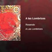 The lyrics A LAS LOMBRICES of ROSENDO is also present in the album ...A las lombrices (1987)