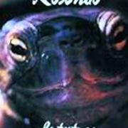 The lyrics LA TORTUGA of ROSENDO is also present in the album La tortuga (1992)