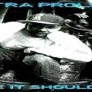 The lyrics THE FAT OUTRO of EXTRA PROLIFIC is also present in the album Like it should be (1994)