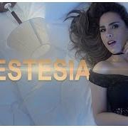 The lyrics TENTEI TE ESQUECER of WANESSA CAMARGO is also present in the album Wanessa camargo 3 (2002)