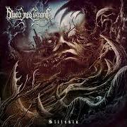 The lyrics NECROLYSIS of BLOOD RED THRONE is also present in the album Siltskin (2025)