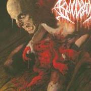 The lyrics BLOOD VORTEX of BLOODBATH is also present in the album Nightmares made flesh (2004)